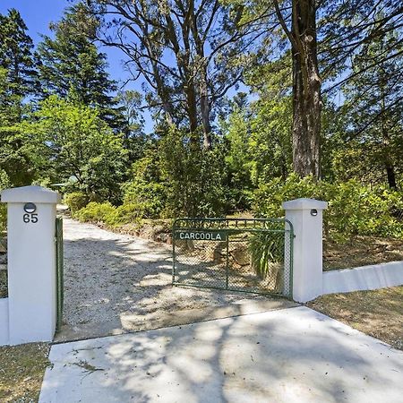 Villa Carcoola Blackheath Esterno foto