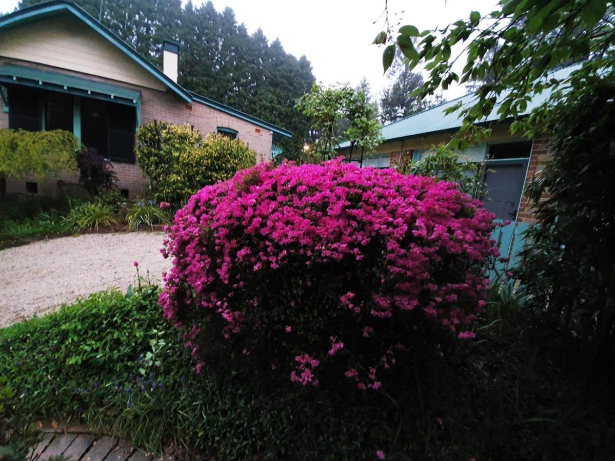 Villa Carcoola Blackheath Esterno foto