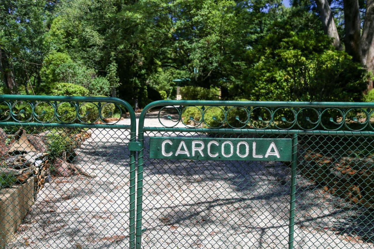 Villa Carcoola Blackheath Esterno foto